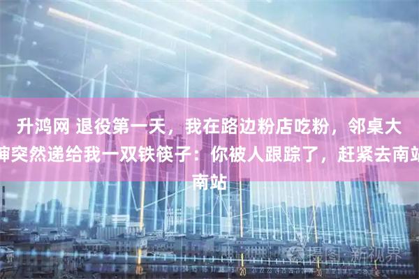 升鸿网 退役第一天，我在路边粉店吃粉，邻桌大婶突然递给我一双铁筷子：你被人跟踪了，赶紧去南站